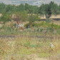 th_dsc00352